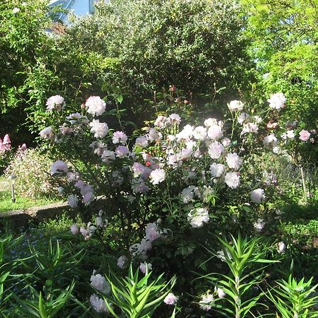 Westella Colonial B&B Accommodation Ulverstone Luaran gambar